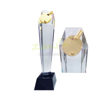Table Tennis Trophy