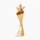 金屬星星獎杯