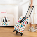 便攜式可折疊拉杆購物車