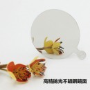 Stainless Steel Mirror