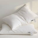 Compressed Pillow core (Pillow)