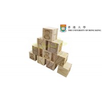 Wooden Dice-The University of Hong Kong