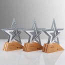 Solid Wood Metal Award
