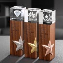 Wooden Crystal Trophy Wooden Crystal Trophy