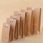 Kraft Paper Gift Bag 