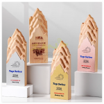 创意金属实木奖座