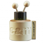 Car and home fragrance ornaments