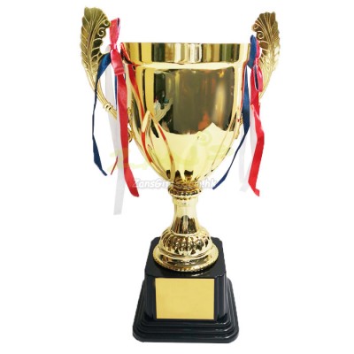 Trophy Cup