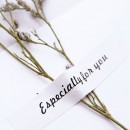 Dried Flower Greeting Card