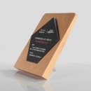 Wooden Inkstone Trophy