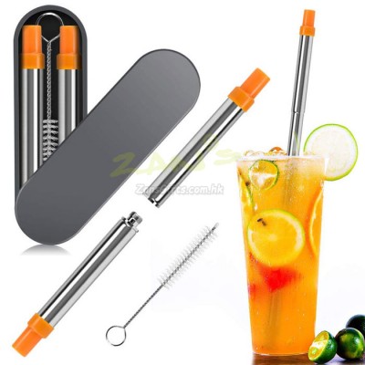 Collapsible Stainless Steel Straw