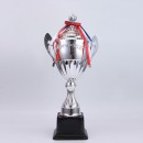 Trophy Cup