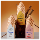 Creative Metal and Solid Wood Trophy Creative Metal and Solid Wood Trophy