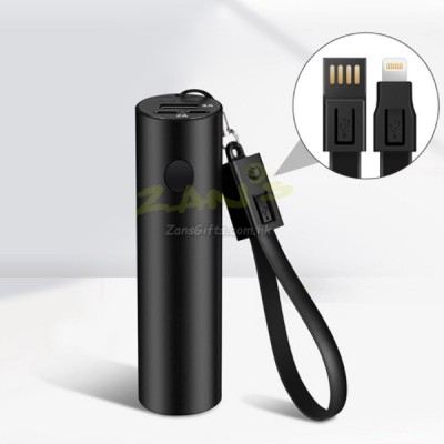 Powerbank With Torch