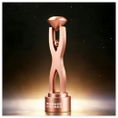 Creative Diamond Metal Trophy Creative Diamond Metal Trophy