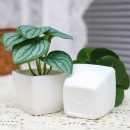 仿真綠植小盆栽
