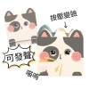 Magnetic Sound-Producing Face-Changing Stress-Relief Keychain Pendant