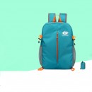 Folding Backpack