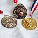排球金属奖牌