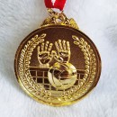 排球金属奖牌
