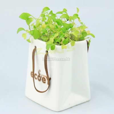 Environmental dish planted Gift