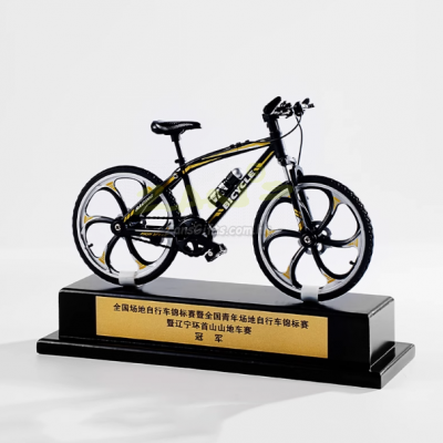 Mountain Bike Trophy