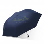 Folding Umbrella
