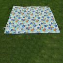 Picnic Blanket