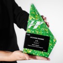 Environmental Protection Award