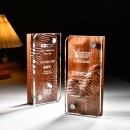 Wood Crystal Trophy