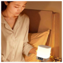 可声控智能电灯