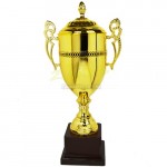 Trophy Cup