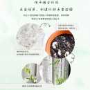 Seed Paper Fan