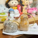 Cute Kitten Transparent Hair Storage Box Cute Kitten Transparent Hair Storage Box