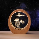 3D Engraved Night Light