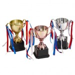 Trophy Cup
