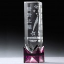 Crystal Trophy