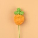 Graduates Knitting Doll Bouquets