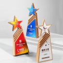Solid Wood Crystal Award