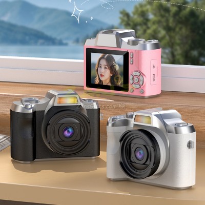 CCD Camera