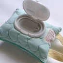 Tissue and wet wipe storage bag