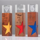 Star Solid Wood Crystal Trophy