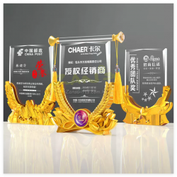 創意水晶錦旗獎座