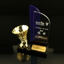 Crystal Trophy