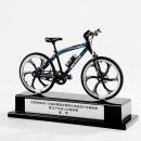 Mountain Bike Trophy