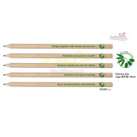 HB鉛筆-Ministry of Education-Academy of Singapore Teachers