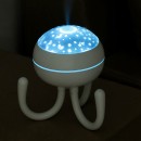 Lamp Humidifier