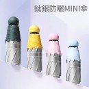 Folding Umbrella