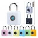 Fingerprint Travel Lock