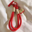 Apple pendant phone lanyard